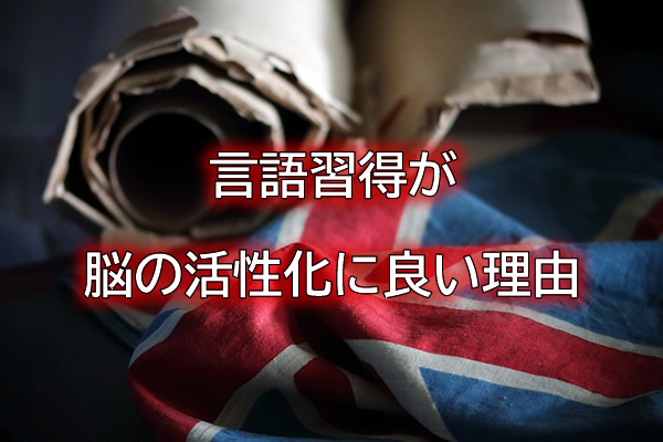 言語習得が脳の活性化に良い理由